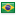 shiny flag country icon