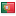 shiny flag country icon