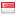 shiny flag country icon