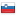 shiny flag country icon