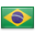 shiny country icon