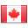 shiny country icon