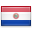 shiny country icon