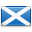 shiny country icon