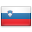 shiny country icon