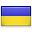 shiny country icon