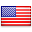 shiny country icon