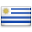 shiny country icon