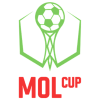 honour icon