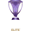 honour icon