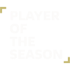 honour icon