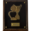 honour artwork icon