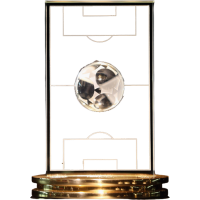 FIFA FIFPro World XI Honour icon