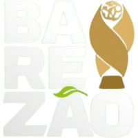 Brazilian Campeonato Amazonense