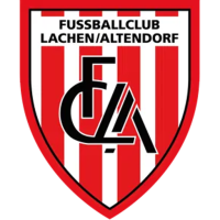 Team Badge icon