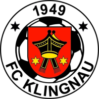 Team Badge icon