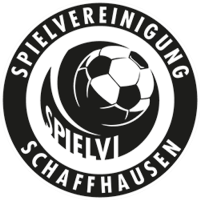 Team Badge icon