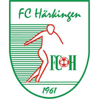 Team Badge icon