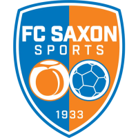 Team Badge icon