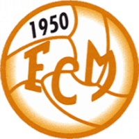 Team Badge icon